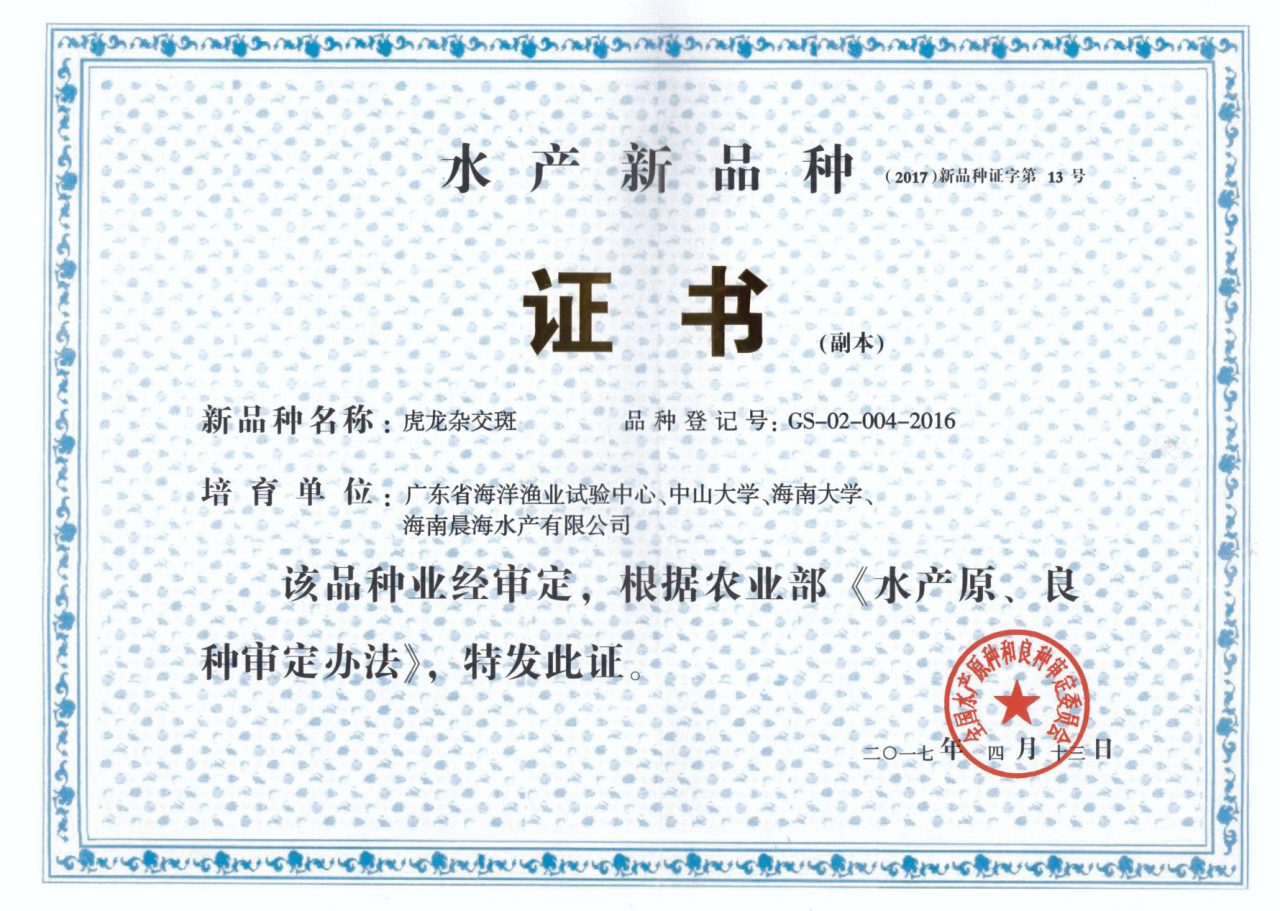 厲害了，我的“虎龍雜交斑”