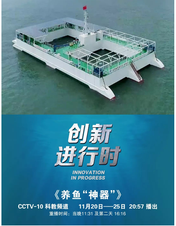 風(fēng)再猛、浪再大，都攔不住我養(yǎng)魚的雄心！